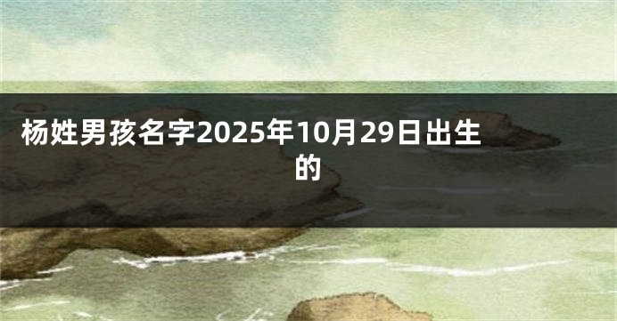 杨姓男孩名字2025年10月29日出生的
