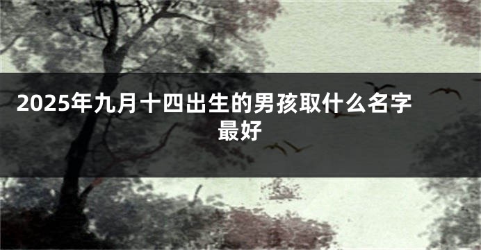 2025年九月十四出生的男孩取什么名字最好