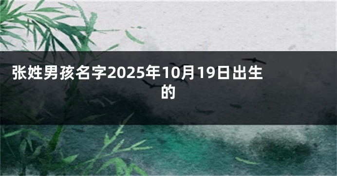 张姓男孩名字2025年10月19日出生的