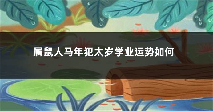 属鼠人马年犯太岁学业运势如何