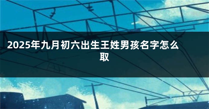 2025年九月初六出生王姓男孩名字怎么取