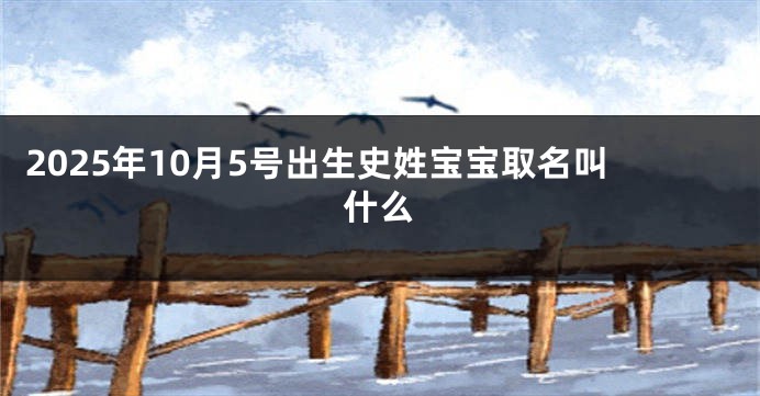 2025年10月5号出生史姓宝宝取名叫什么