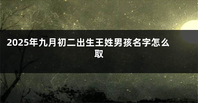 2025年九月初二出生王姓男孩名字怎么取