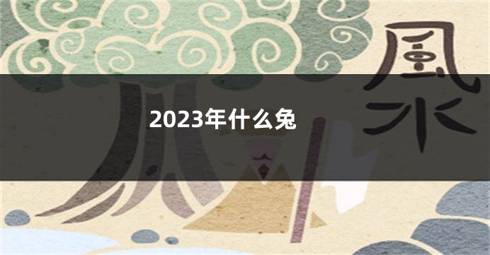 2023年什么兔