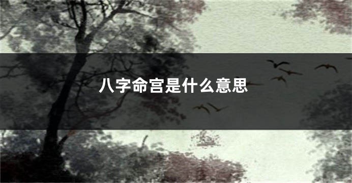 八字命宫是什么意思
