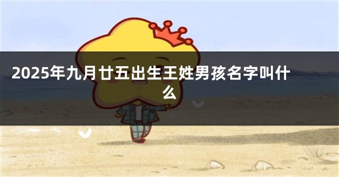 2025年九月廿五出生王姓男孩名字叫什么