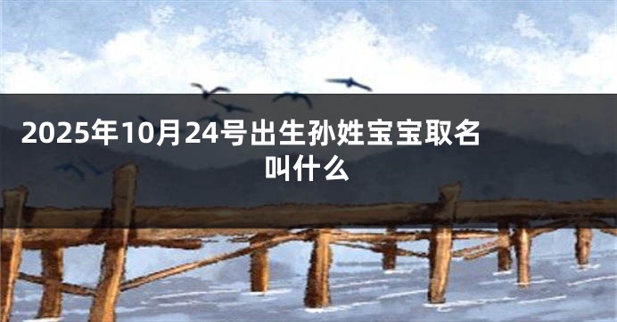 2025年10月24号出生孙姓宝宝取名叫什么