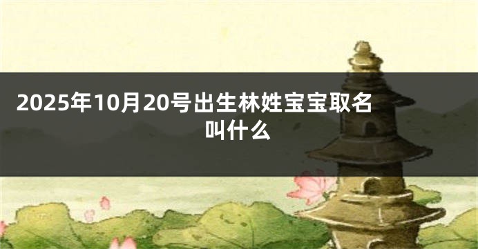 2025年10月20号出生林姓宝宝取名叫什么