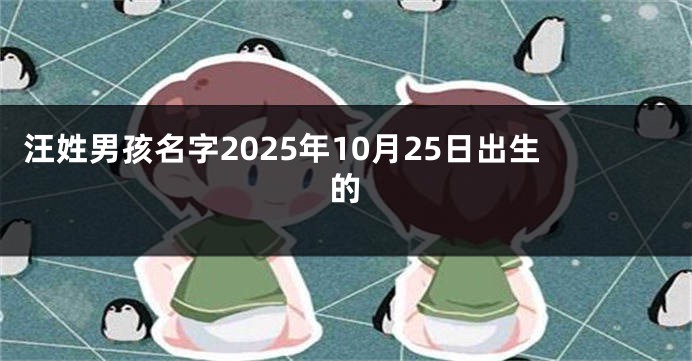 汪姓男孩名字2025年10月25日出生的