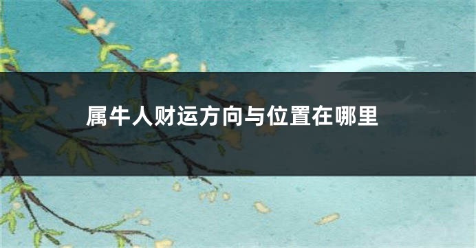 属牛人财运方向与位置在哪里
