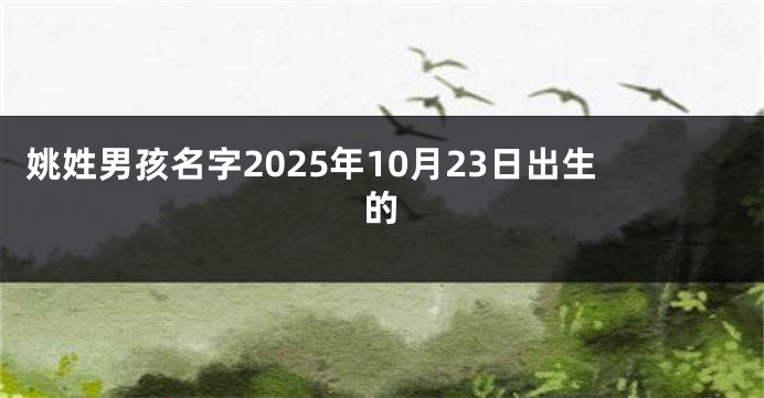 姚姓男孩名字2025年10月23日出生的