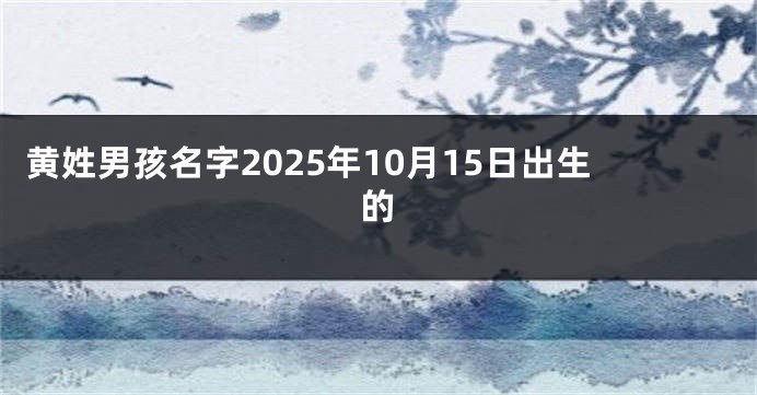 黄姓男孩名字2025年10月15日出生的