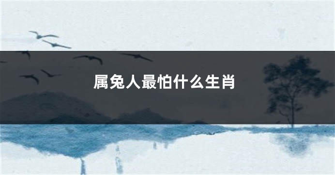 属兔人最怕什么生肖