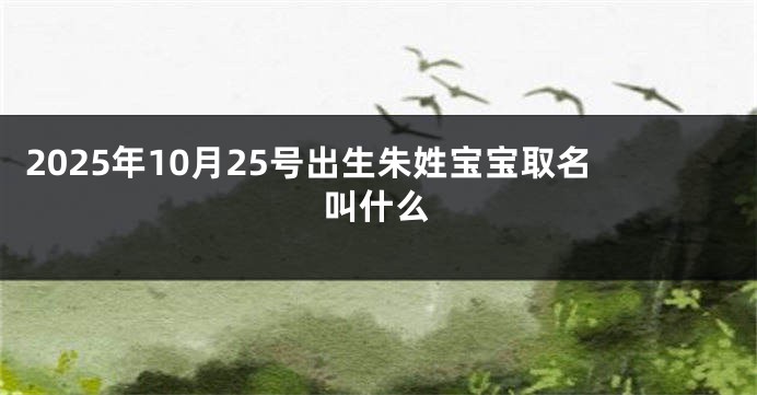 2025年10月25号出生朱姓宝宝取名叫什么
