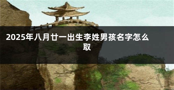 2025年八月廿一出生李姓男孩名字怎么取