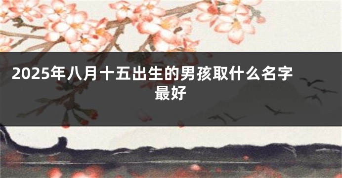 2025年八月十五出生的男孩取什么名字最好