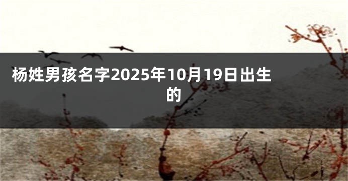 杨姓男孩名字2025年10月19日出生的