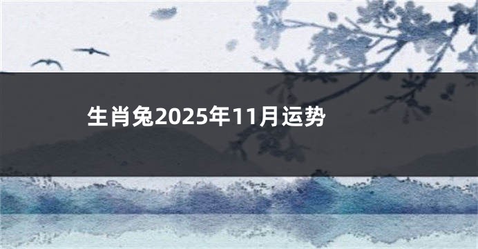 生肖兔2025年11月运势