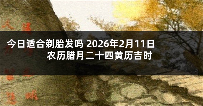 今日适合剃胎发吗 2026年2月11日农历腊月二十四黄历吉时