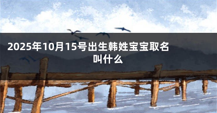 2025年10月15号出生韩姓宝宝取名叫什么