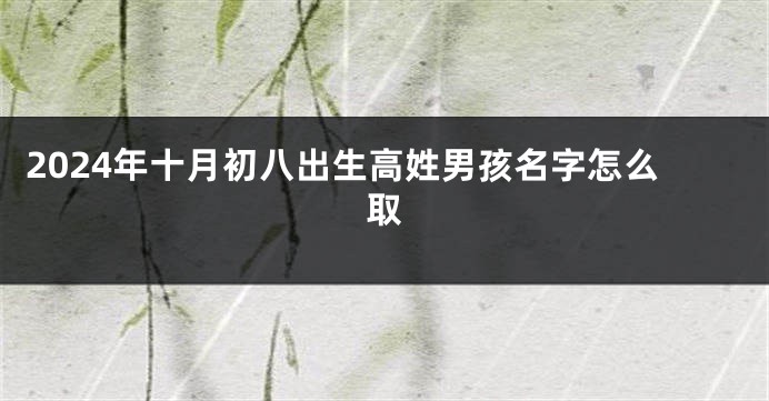 2024年十月初八出生高姓男孩名字怎么取