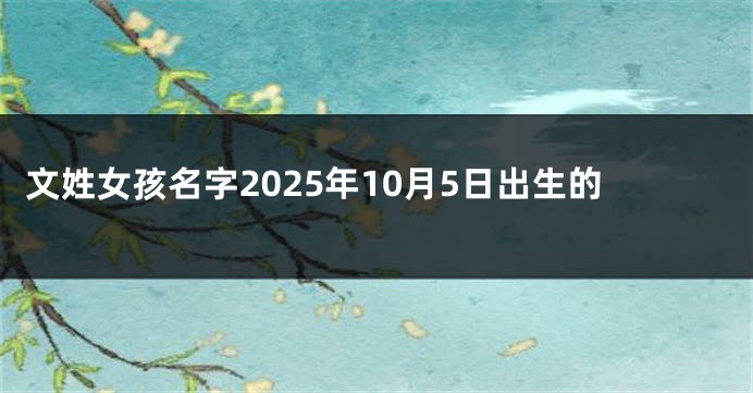 文姓女孩名字2025年10月5日出生的