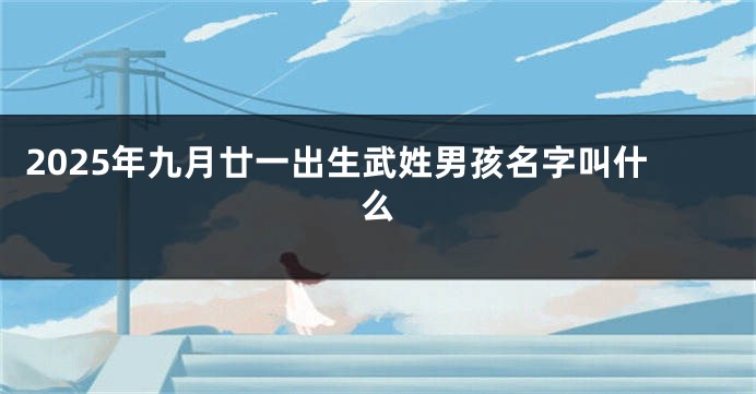 2025年九月廿一出生武姓男孩名字叫什么
