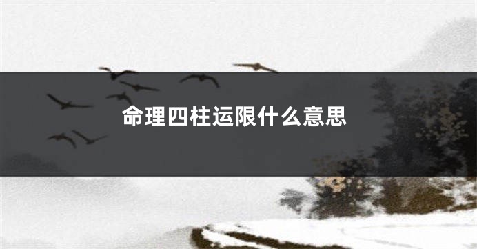 命理四柱运限什么意思