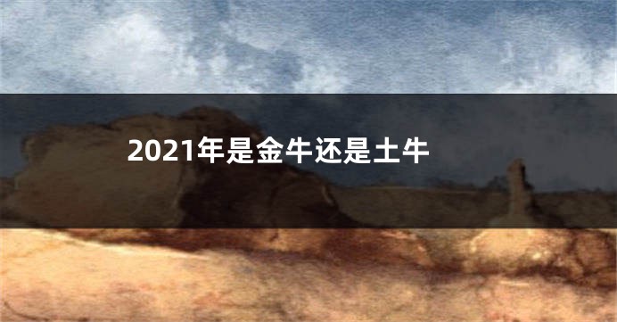 2021年是金牛还是土牛