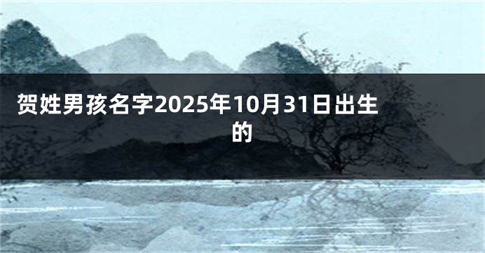 贺姓男孩名字2025年10月31日出生的