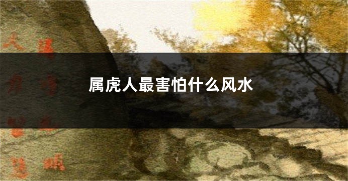 属虎人最害怕什么风水