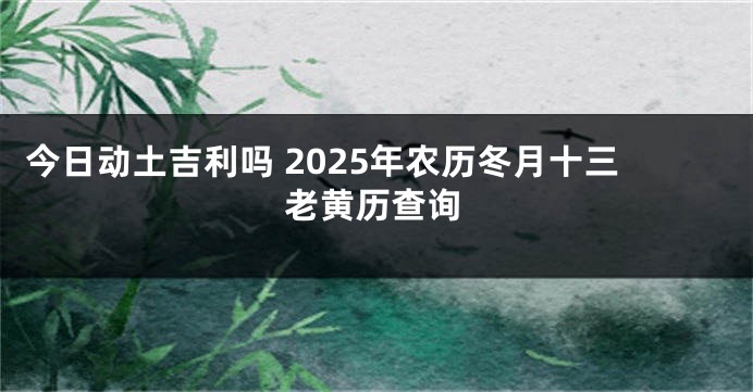 今日动土吉利吗 2025年农历冬月十三老黄历查询