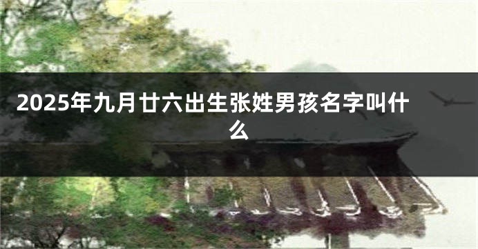 2025年九月廿六出生张姓男孩名字叫什么