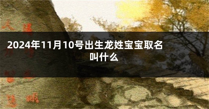 2024年11月10号出生龙姓宝宝取名叫什么