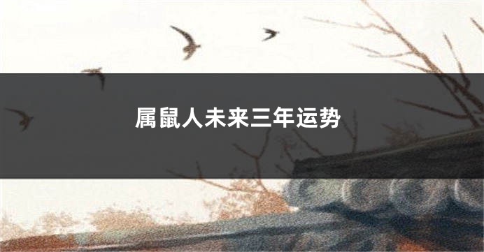 属鼠人未来三年运势