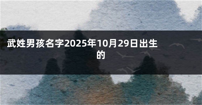 武姓男孩名字2025年10月29日出生的