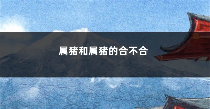 属猪和属猪的合不合