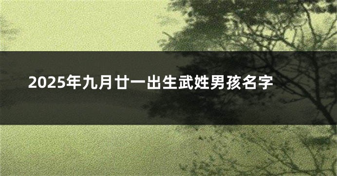 2025年九月廿一出生武姓男孩名字