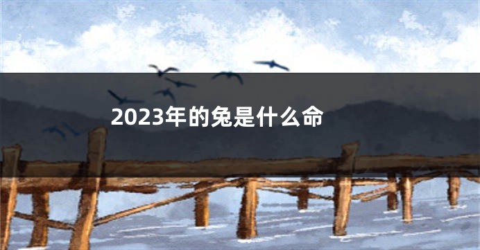 2023年的兔是什么命