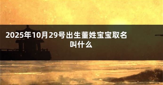 2025年10月29号出生董姓宝宝取名叫什么