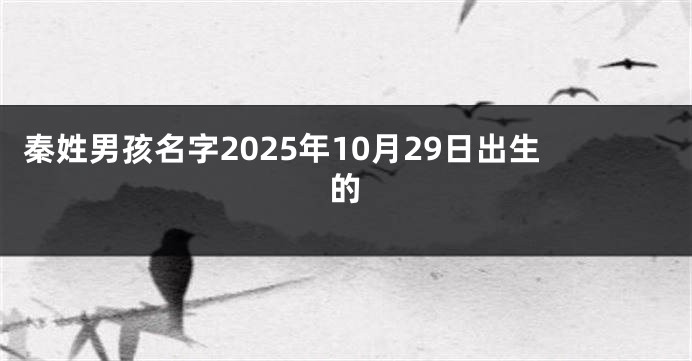 秦姓男孩名字2025年10月29日出生的