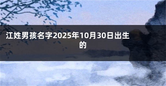江姓男孩名字2025年10月30日出生的