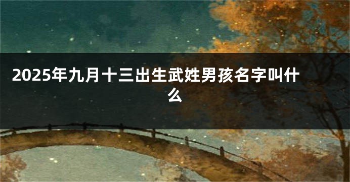 2025年九月十三出生武姓男孩名字叫什么