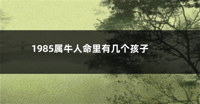 1985属牛人命里有几个孩子