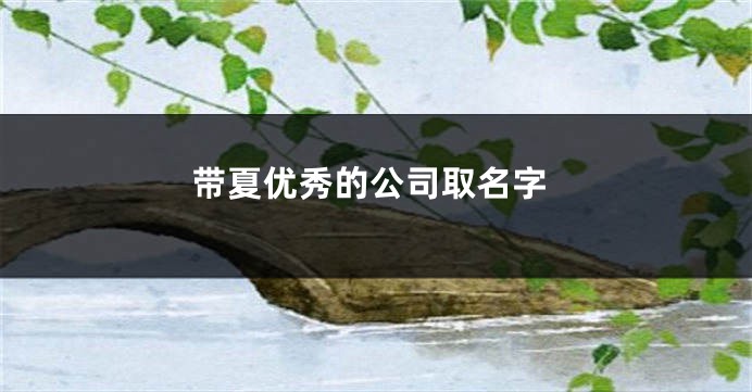 带夏优秀的公司取名字