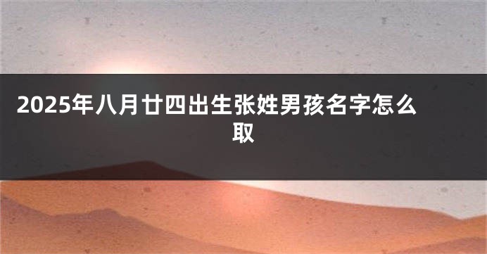 2025年八月廿四出生张姓男孩名字怎么取