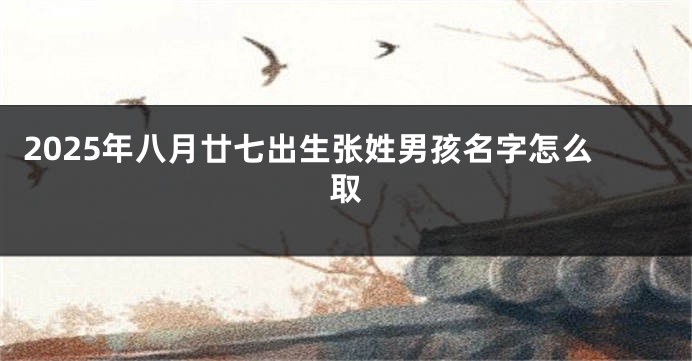 2025年八月廿七出生张姓男孩名字怎么取