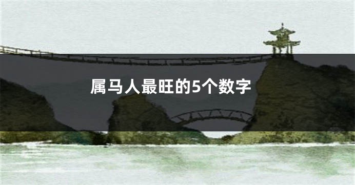 属马人最旺的5个数字