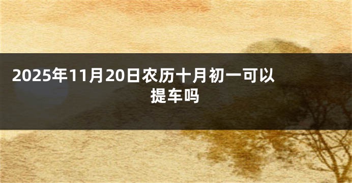 2025年11月20日农历十月初一可以提车吗