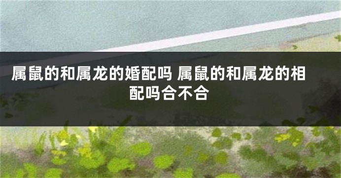 属鼠的和属龙的婚配吗 属鼠的和属龙的相配吗合不合